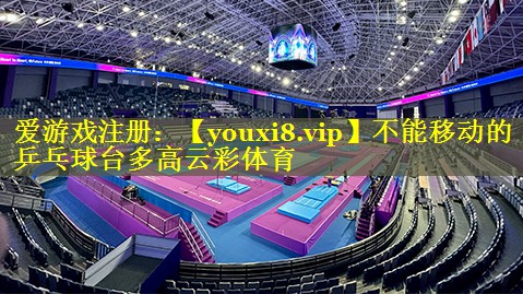不能移动的乒乓球台多高云彩体育