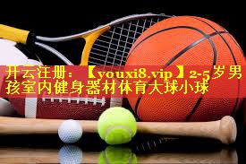 2-5岁男孩室内健身器材体育大球小球