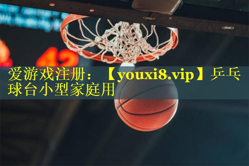 乒乓球台小型家庭用