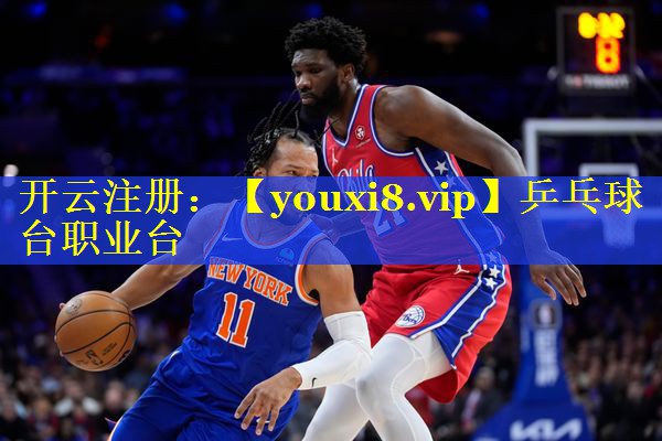 乒乓球台职业台
